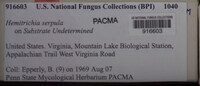Image Associated With the Occurence